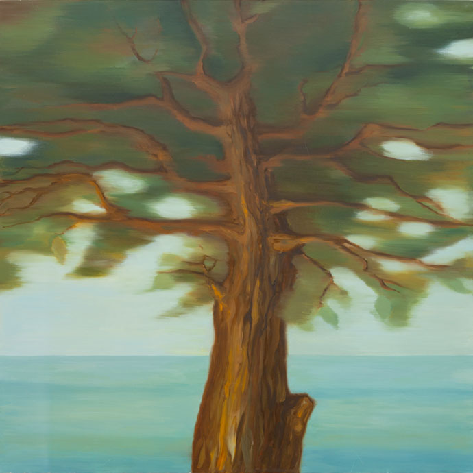 Tableau